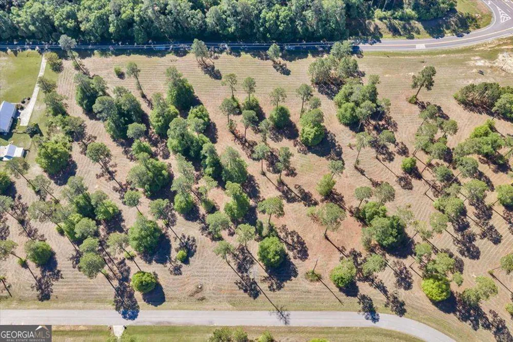 0 N Coney Rd Lot 22 Block A Cordele, GA 31015