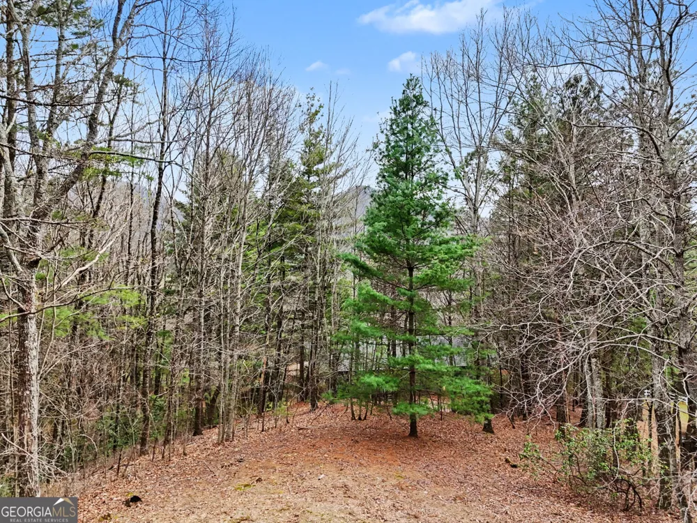 594 Sky High DR Sky Valley, GA 30537