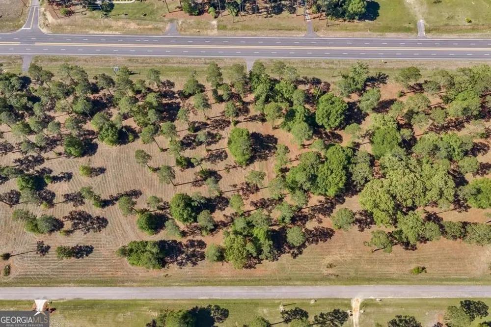 0 Swann Dr Lot 45 Block A Cordele, GA 31015