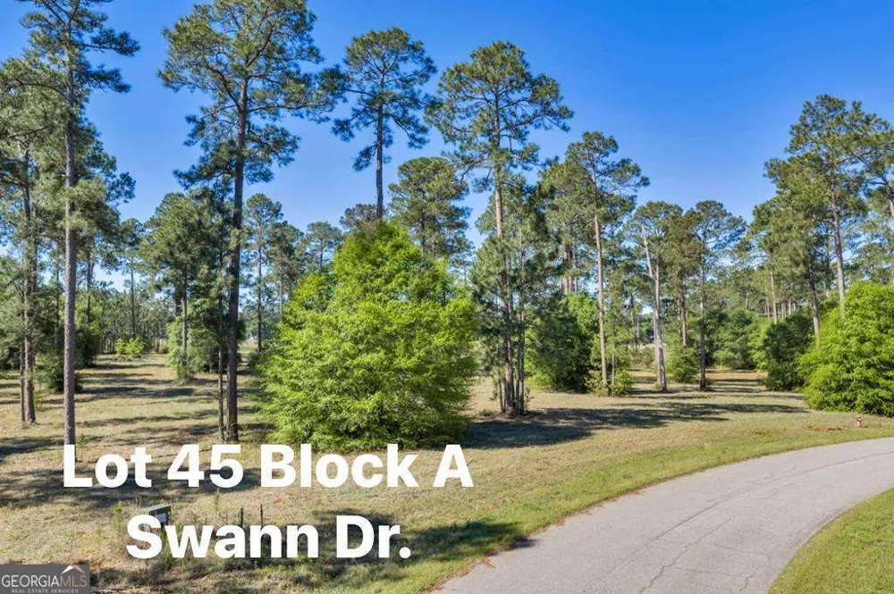 0 Swann Dr Lot 45 Block A Cordele, GA 31015