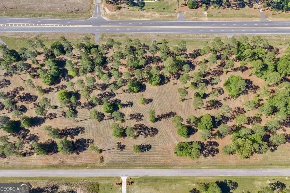 0 Swann Dr Lot 45 Block A Cordele, GA 31015