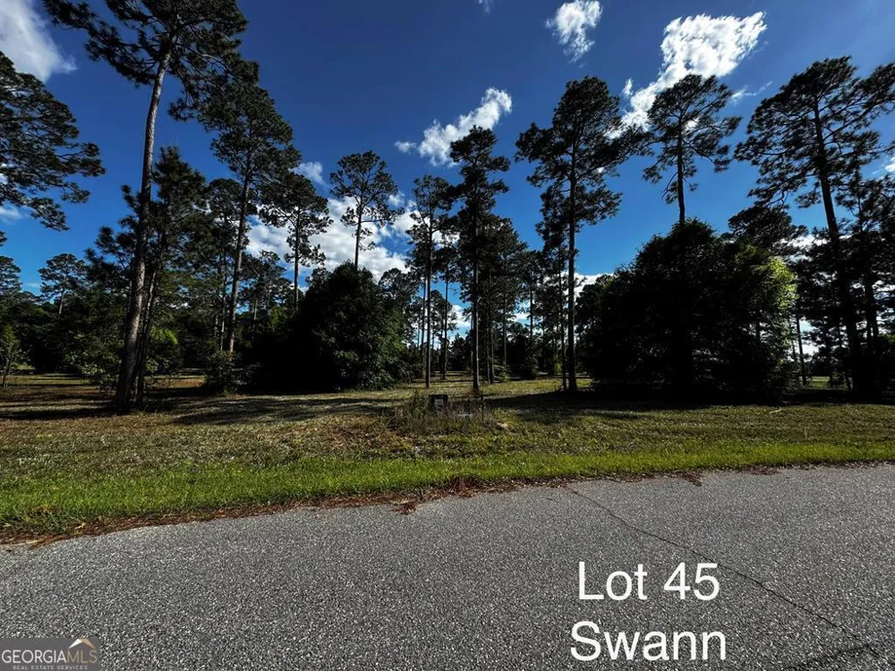 0 Swann Dr Lot 45 Block A Cordele, GA 31015