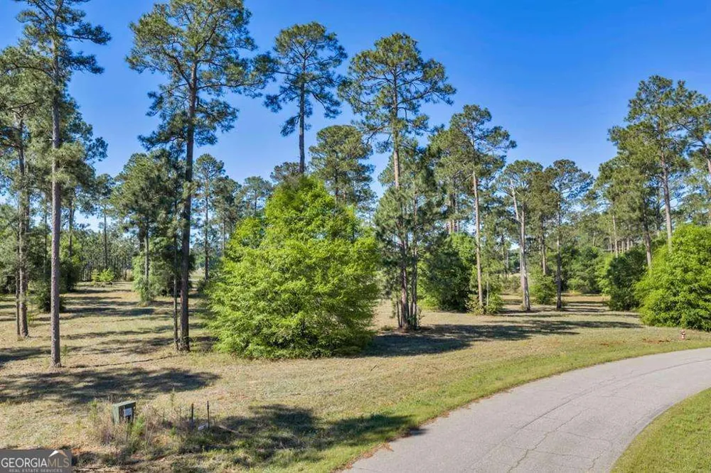0 Swann Dr Lot 47 Block A Cordele, GA 31015