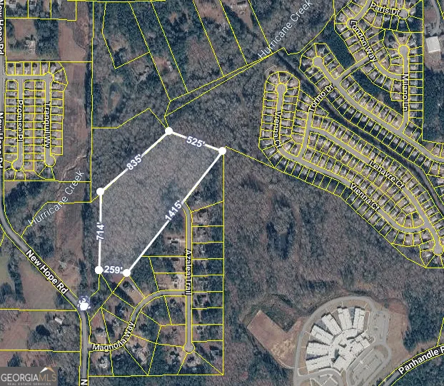 11300 Azalea TRL Hampton, GA 30228
