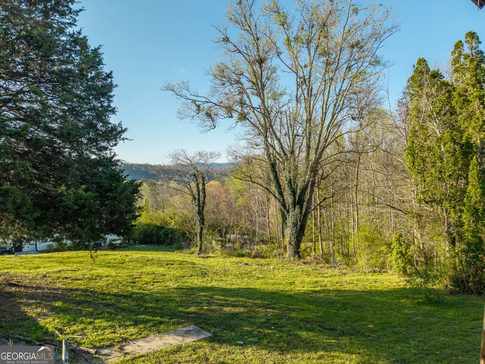 291 E Second ST Blue Ridge, GA 30513
