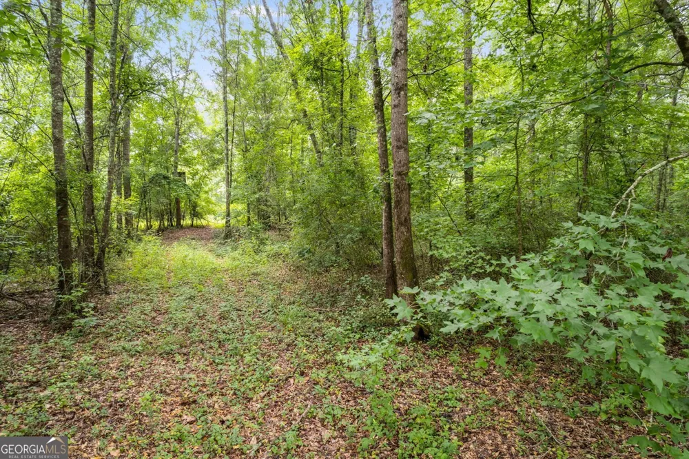 104 Martin Cemetary RD Carrollton, GA 30117