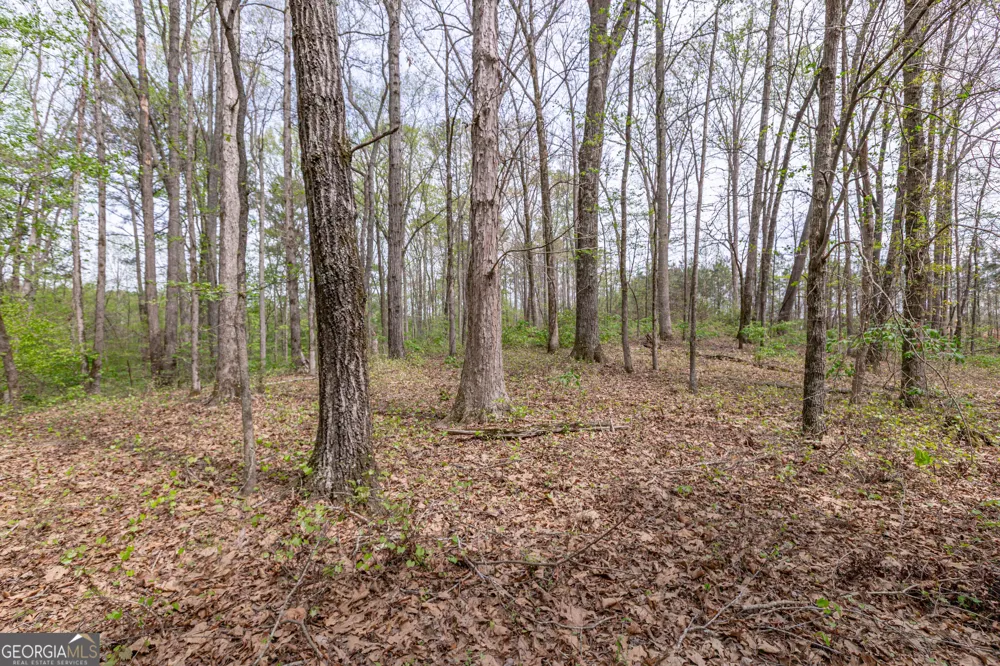 7350 Ono RD Palmetto, GA 30268