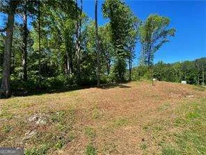 1111 Dockside DR Buckhead, GA 30625
