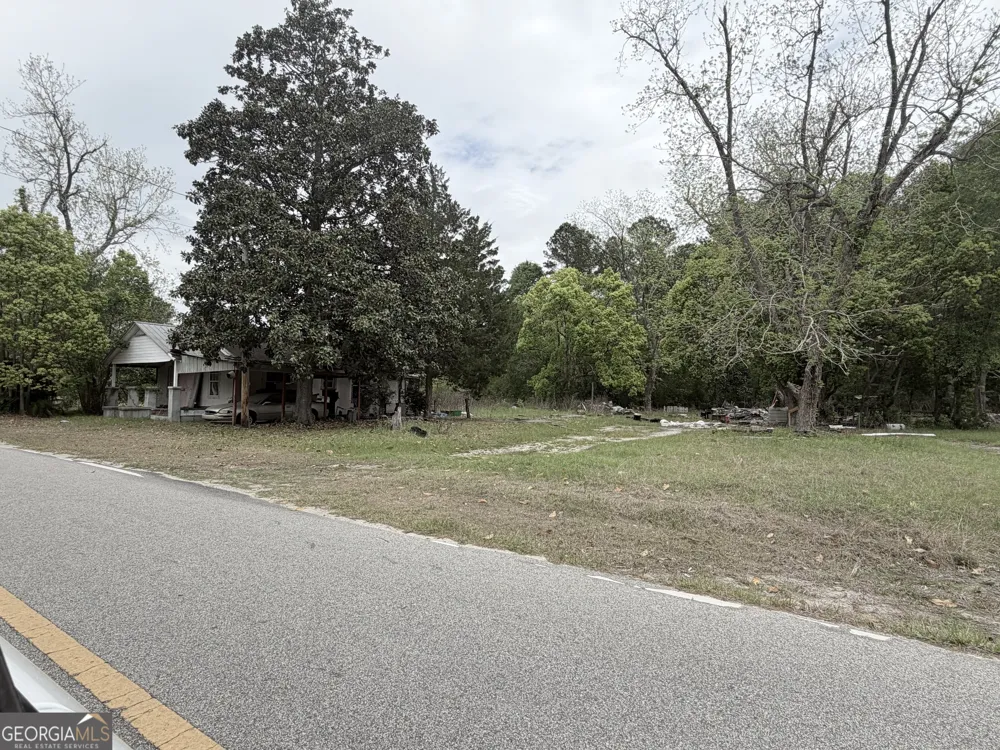 501 Watson ST Blackshear, GA 31516