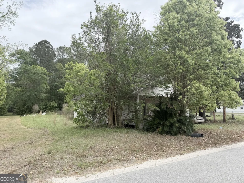501 Watson ST Blackshear, GA 31516