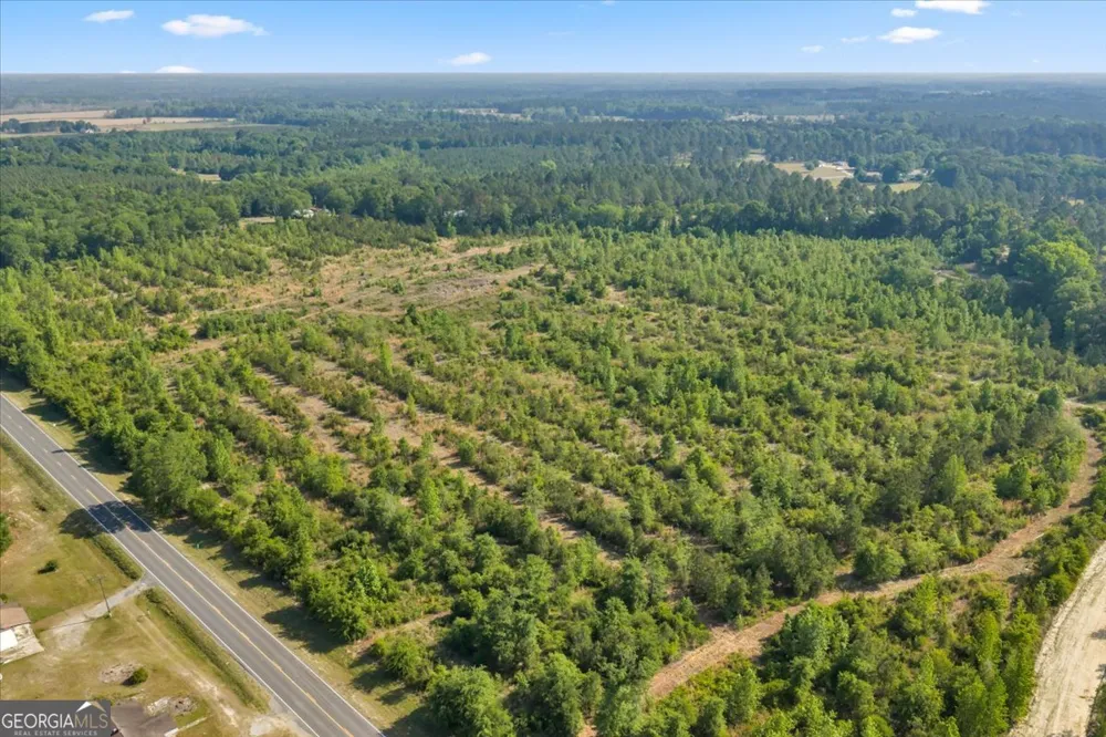 0 S Highway 441 Rentz, GA 31075