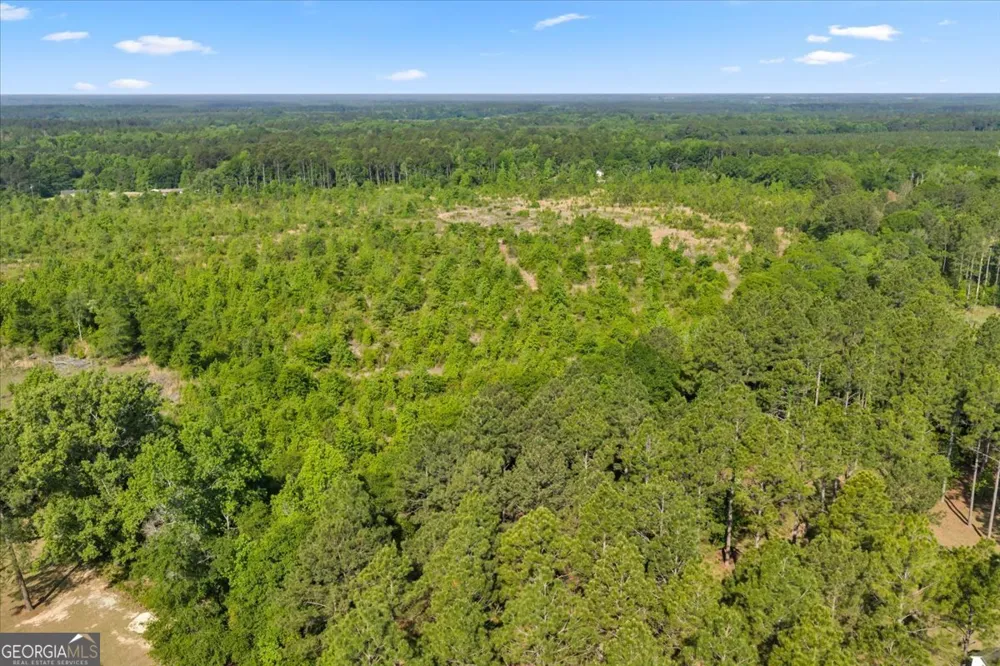0 S Highway 441 Rentz, GA 31075