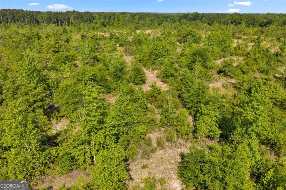 0 S Highway 441 Rentz, GA 31075