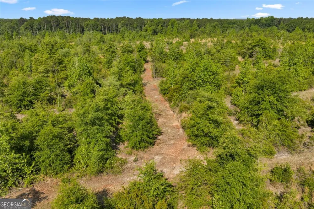 0 S Highway 441 Rentz, GA 31075