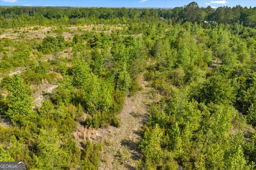 0 S Highway 441 Rentz, GA 31075