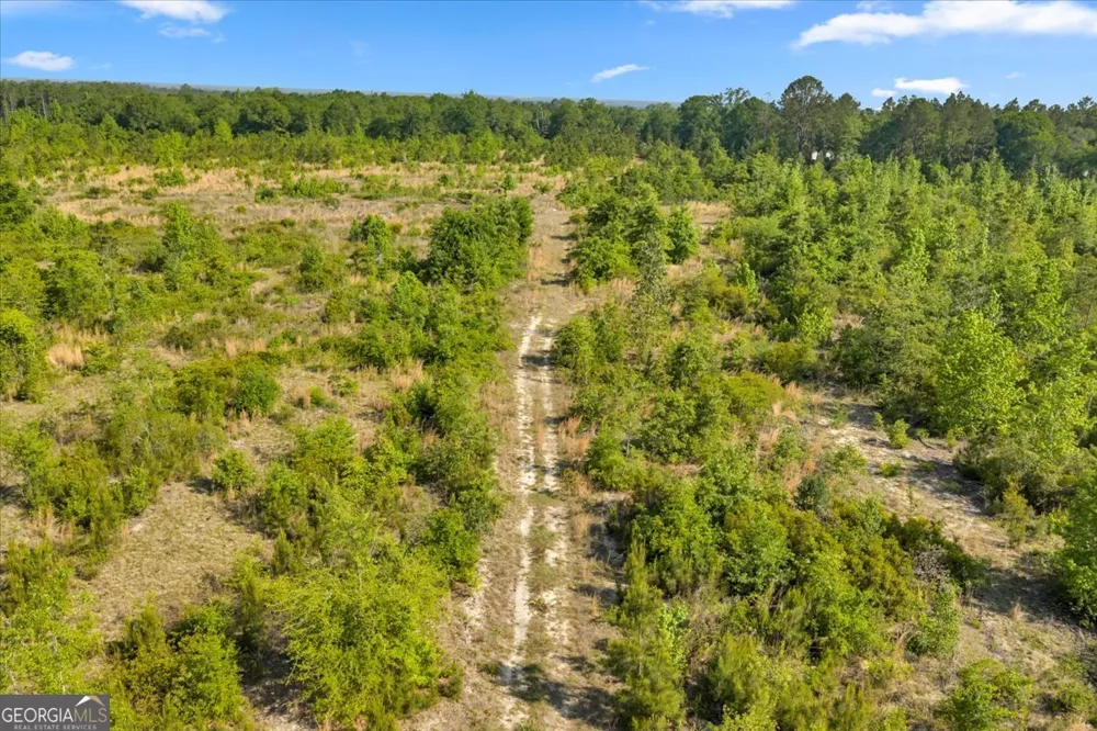 0 S Highway 441 Rentz, GA 31075