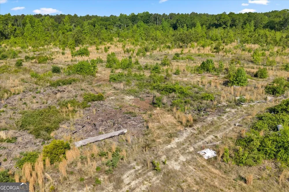 0 S Highway 441 Rentz, GA 31075
