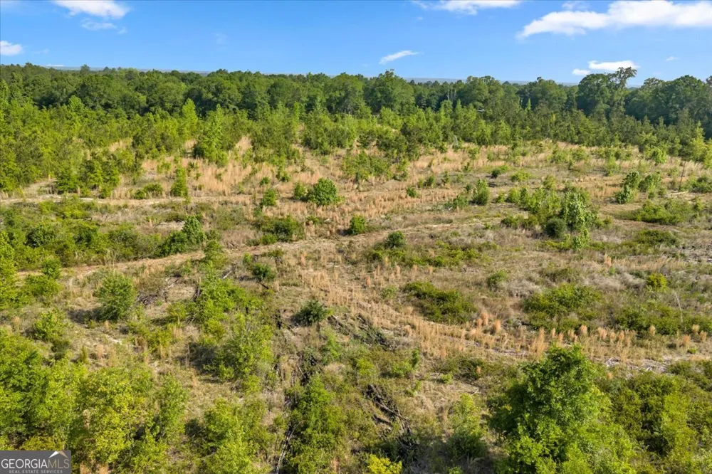 0 S Highway 441 Rentz, GA 31075