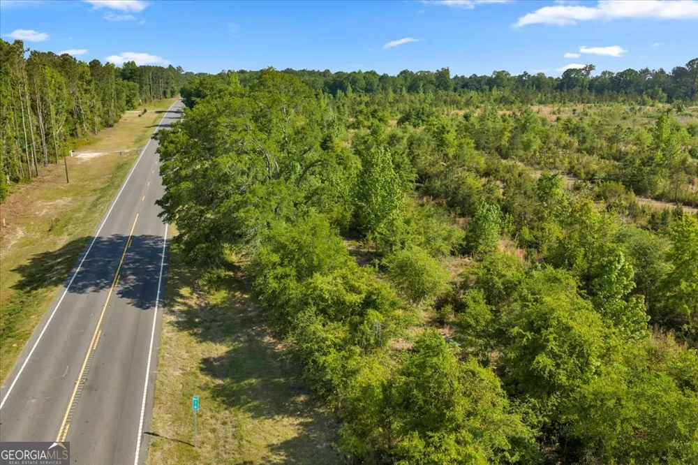 0 S Highway 441 Rentz, GA 31075