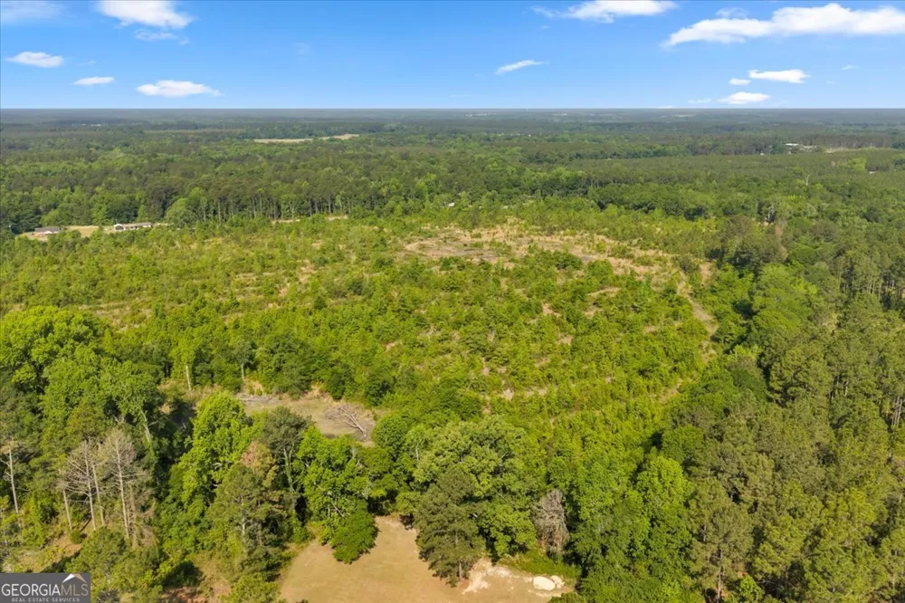 0 S Highway 441 Rentz, GA 31075