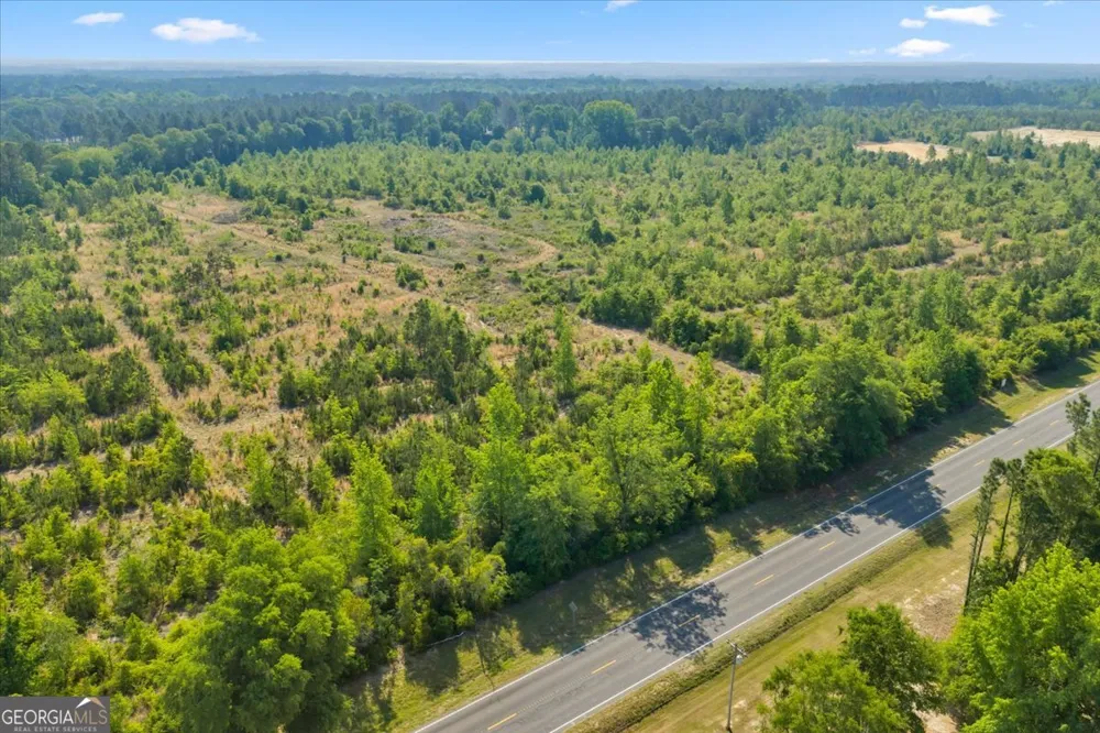 0 S Highway 441 Rentz, GA 31075
