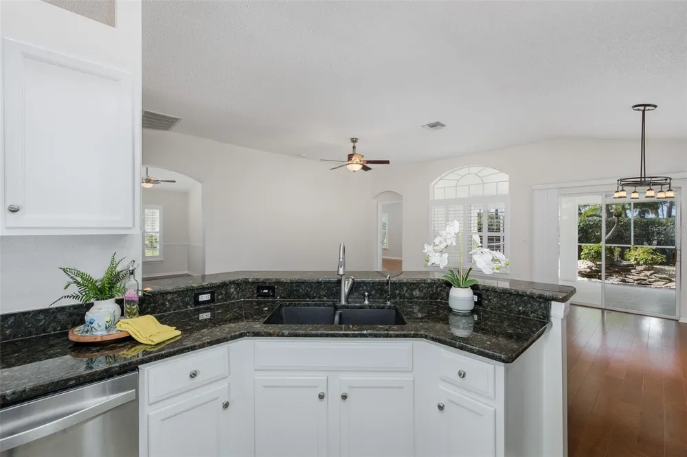 11428 HIDDEN COVE COURT Trinity, FL 34655