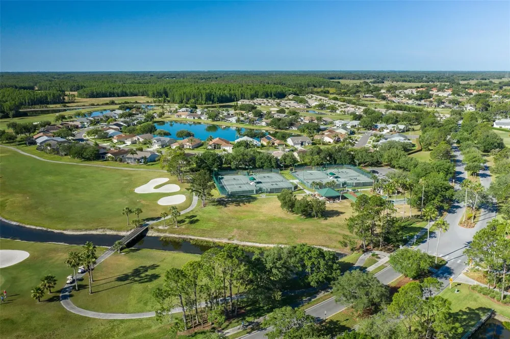 11428 HIDDEN COVE COURT Trinity, FL 34655