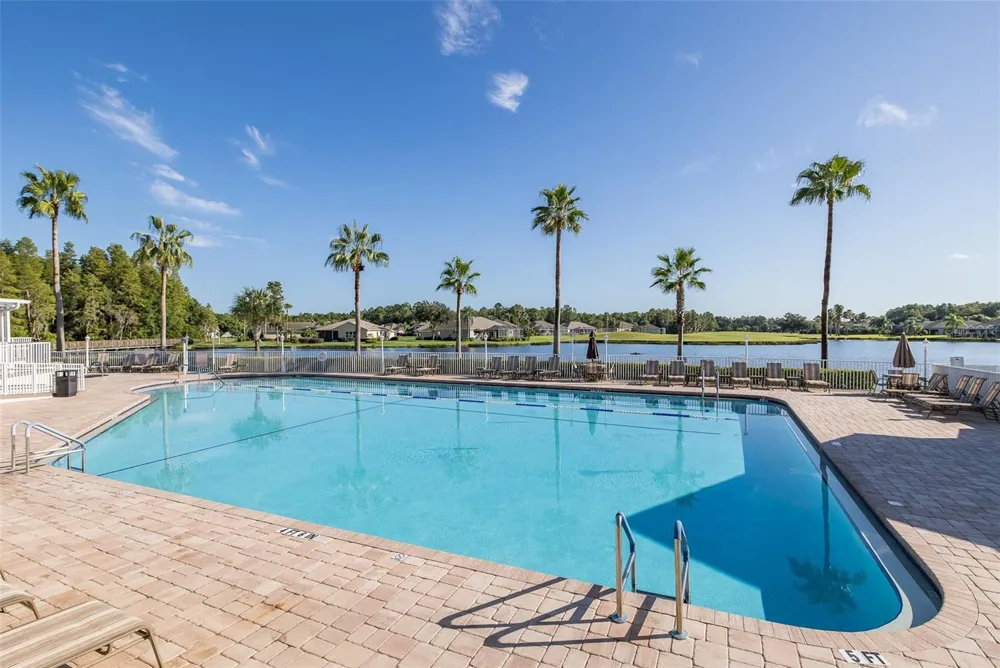 11428 HIDDEN COVE COURT Trinity, FL 34655