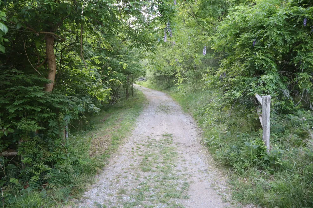 341 Pumpkin Hollow Rd Liberty, TN 37095