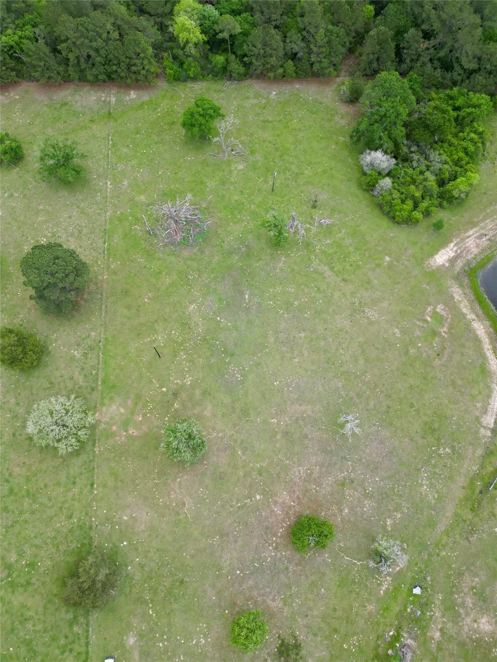 County Road 410 Navasota, TX 77868