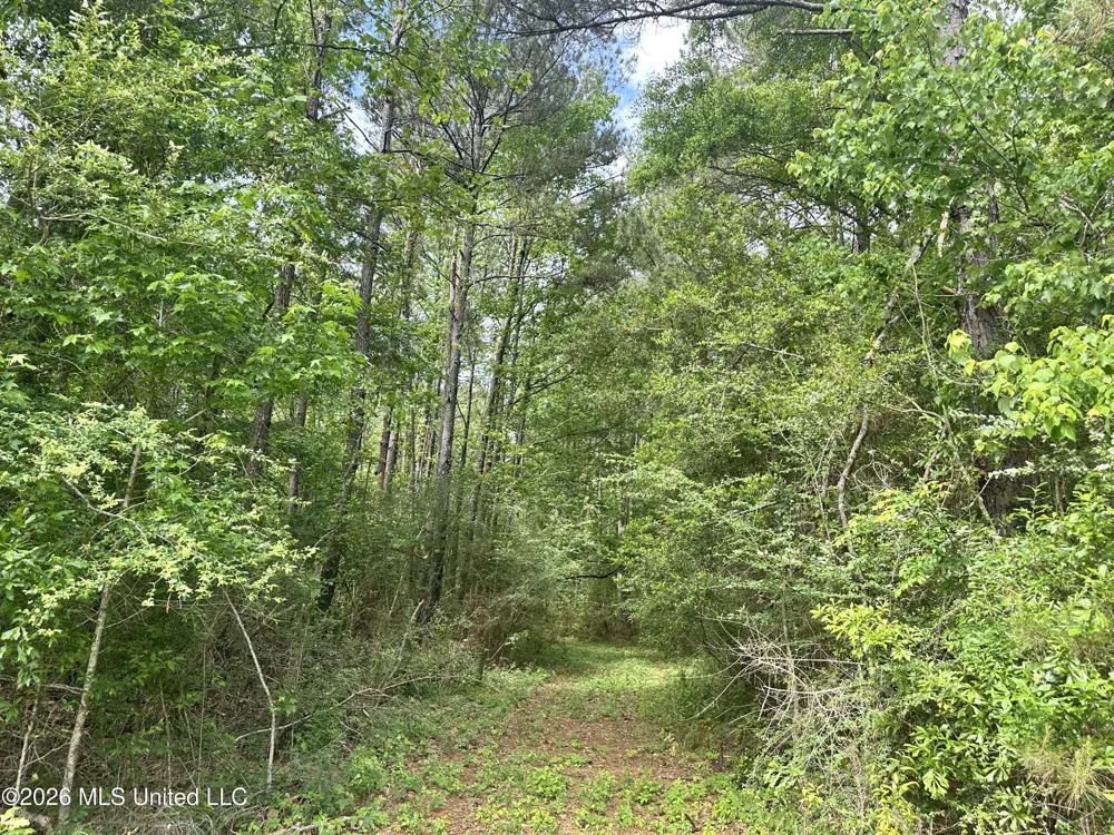 Mccomb Holmesville Road Mccomb, MS 39648