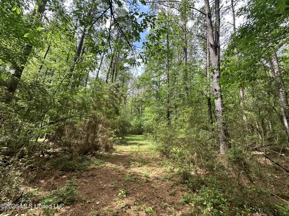Mccomb Holmesville Road Mccomb, MS 39648