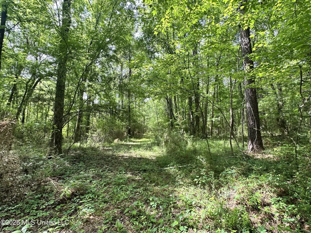Mccomb Holmesville Road Mccomb, MS 39648