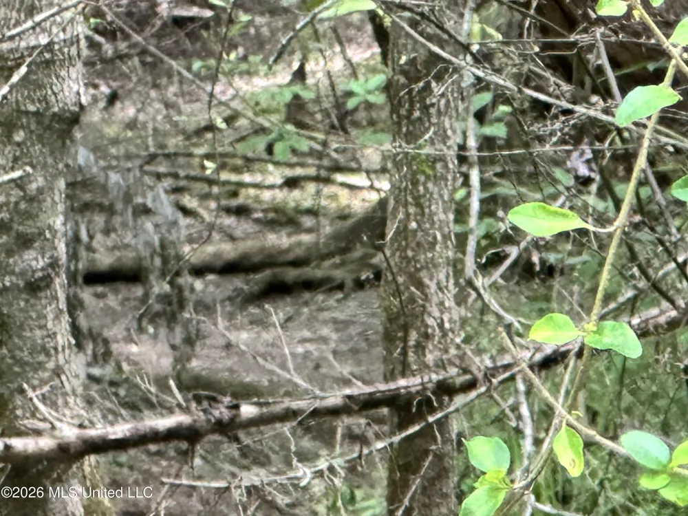 Mccomb Holmesville Road Mccomb, MS 39648