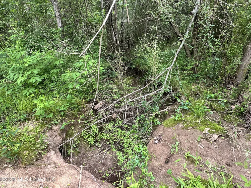 Mccomb Holmesville Road Mccomb, MS 39648