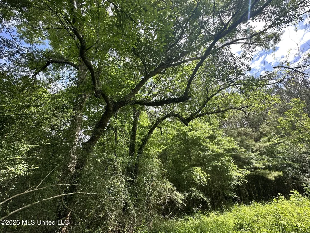 Mccomb Holmesville Road Mccomb, MS 39648