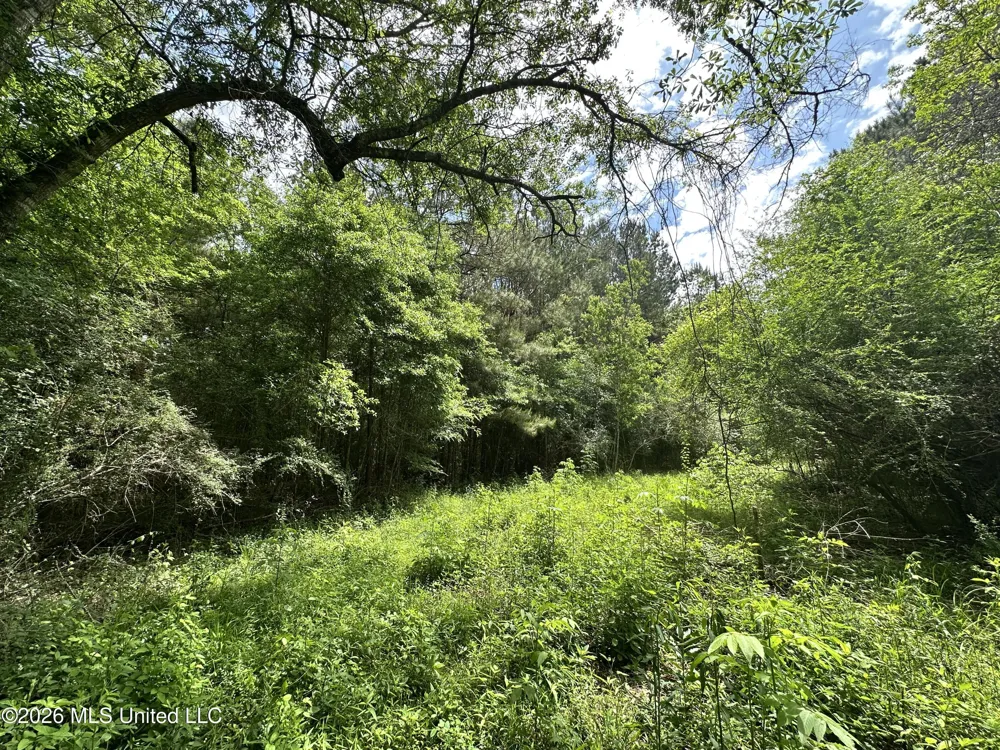 Mccomb Holmesville Road Mccomb, MS 39648