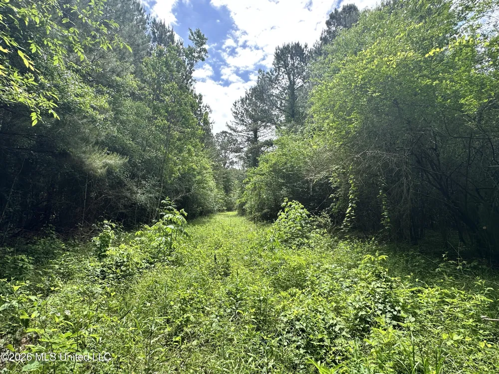 Mccomb Holmesville Road Mccomb, MS 39648