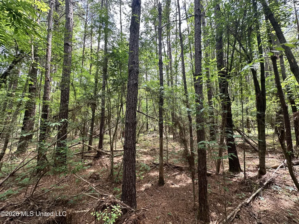 Mccomb Holmesville Road Mccomb, MS 39648