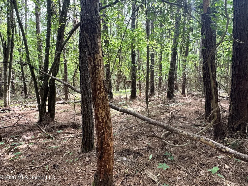 Mccomb Holmesville Road Mccomb, MS 39648