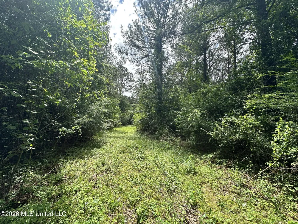 Mccomb Holmesville Road Mccomb, MS 39648