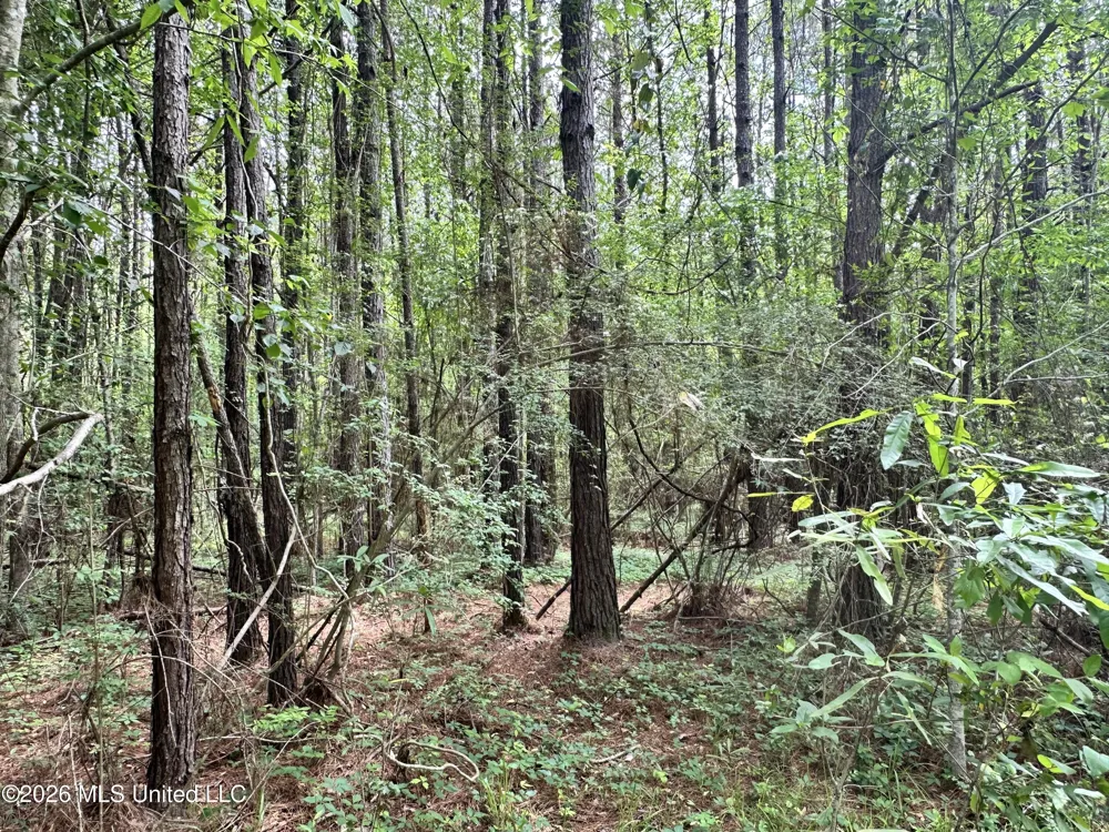 Mccomb Holmesville Road Mccomb, MS 39648