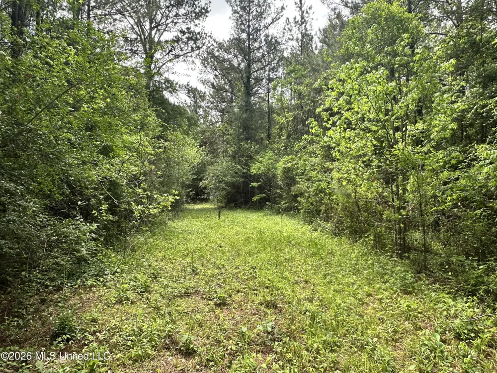 Mccomb Holmesville Road Mccomb, MS 39648
