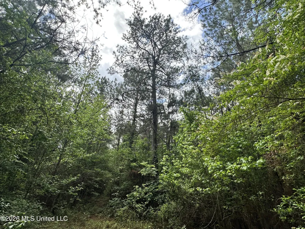 Mccomb Holmesville Road Mccomb, MS 39648
