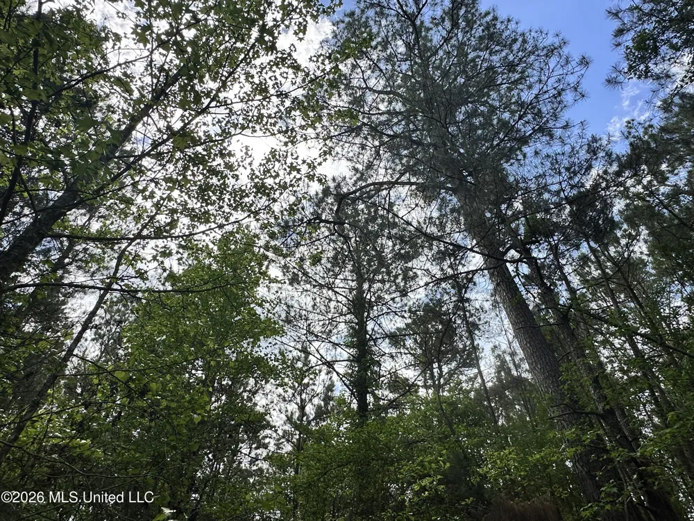 Mccomb Holmesville Road Mccomb, MS 39648