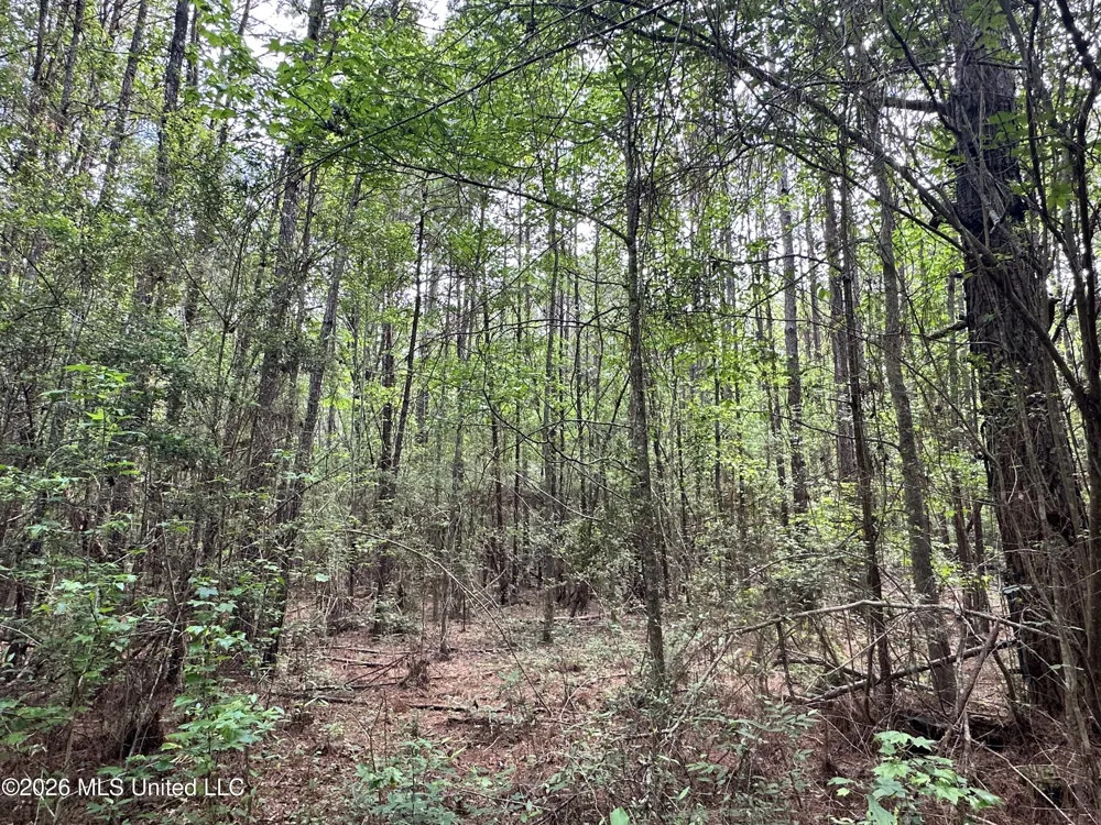 Mccomb Holmesville Road Mccomb, MS 39648