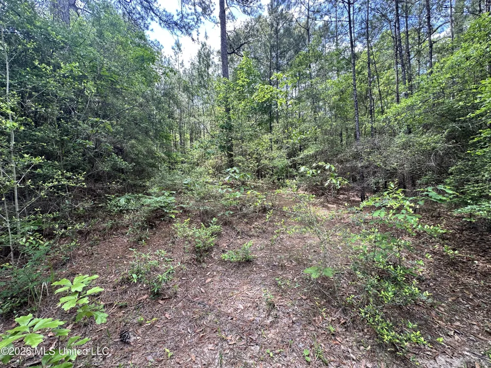 Mccomb Holmesville Road Mccomb, MS 39648