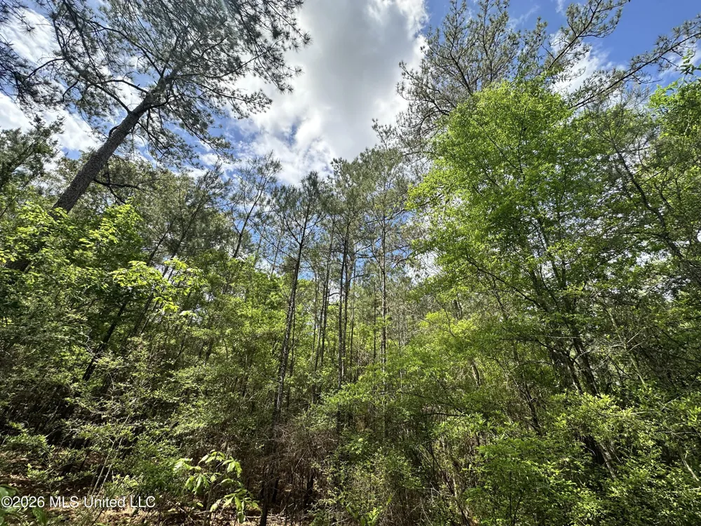 Mccomb Holmesville Road Mccomb, MS 39648