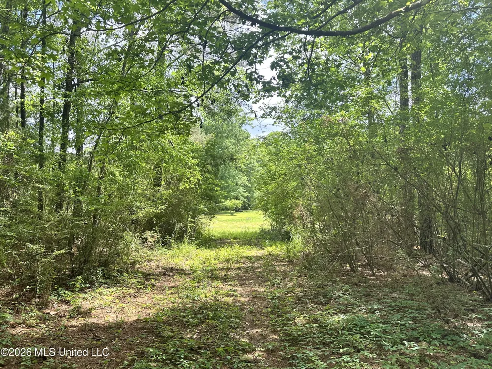 Mccomb Holmesville Road Mccomb, MS 39648
