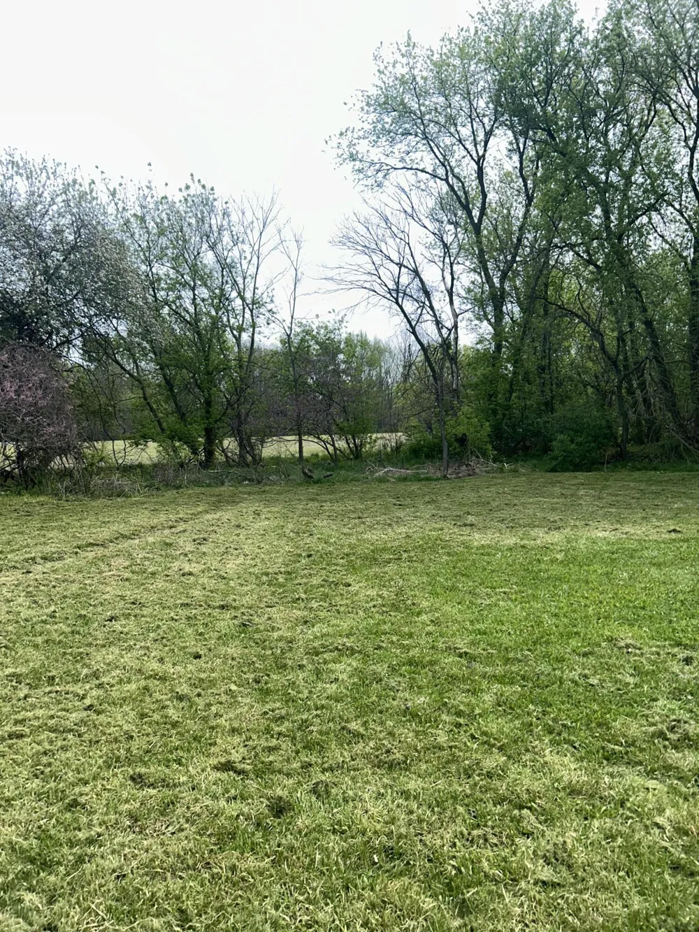46376 County Road 352 Decatur, MI 49045